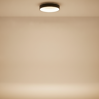 Luminaire Plafonnier - Design Épuré