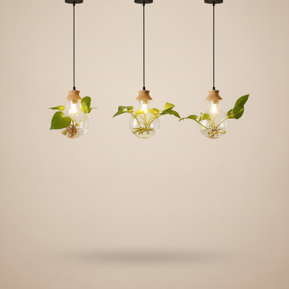 Suspension Luminaire Lampe - Flore Éclairée